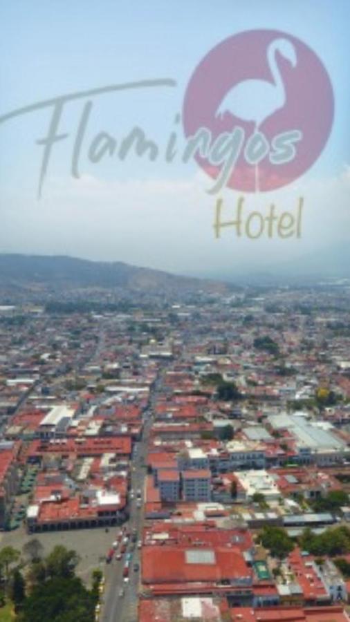 Hotel Flamingos De 古斯曼城 外观 照片